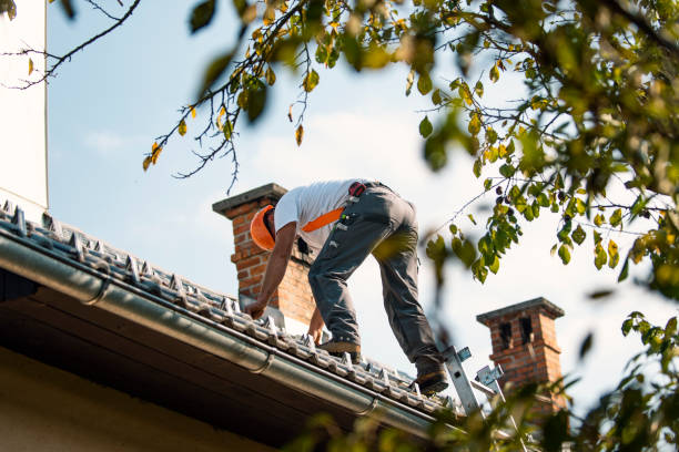 Lake Of The Woods, IL Roofing Contractor Company